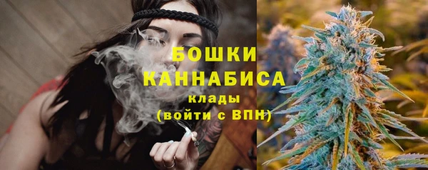гашиш Богданович