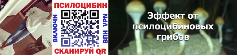 Псилоцибиновые грибы Cubensis  Купить закладки  Лихославль 