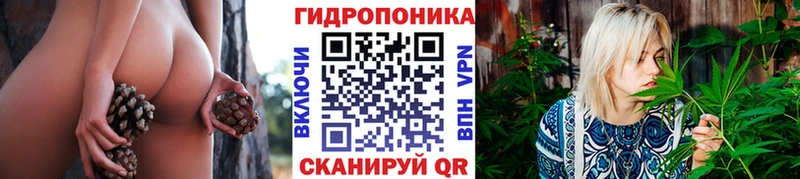 Купить  Лихославль  Бошки марихуана OG Kush 